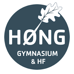 Høng Gymnasium og HF-kursus logo